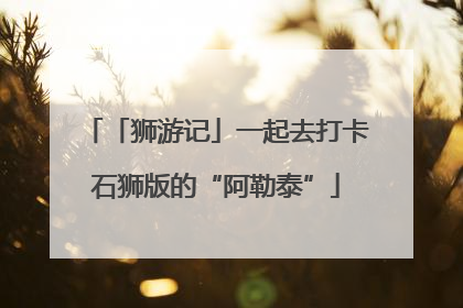 「狮游记」一起去打卡石狮版的“阿勒泰”