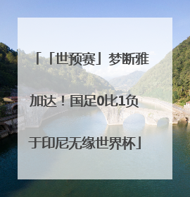 「世预赛」梦断雅加达！国足0比1负于印尼无缘世界杯