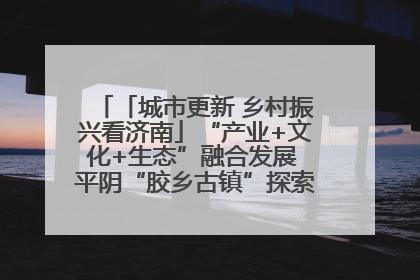 「城市更新 乡村振兴看济南」“产业+文化+生态”融合发展 平阴“胶乡古镇”探索振兴路径成效显著