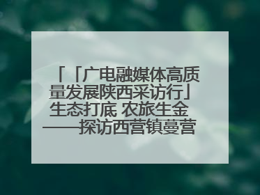 「广电融媒体高质量发展陕西采访行」生态打底 农旅生金——探访西营镇蔓营村省级旅游示范村的振兴密码