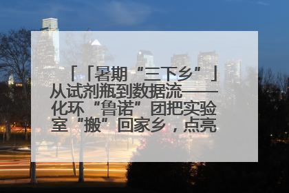 「暑期“三下乡”」从试剂瓶到数据流——化环“鲁诺”团把实验室“搬”回家乡，点亮桑梓求知路
