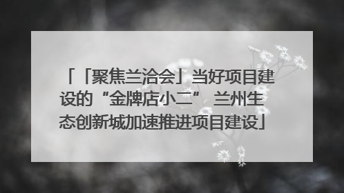 「聚焦兰洽会」当好项目建设的“金牌店小二” 兰州生态创新城加速推进项目建设