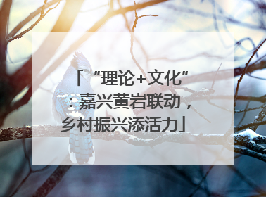 “理论+文化”：嘉兴黄岩联动，乡村振兴添活力