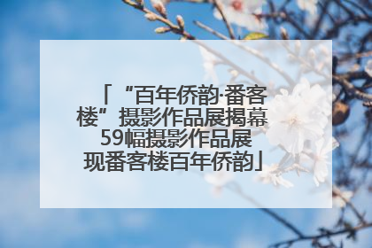 “百年侨韵·番客楼”摄影作品展揭幕 59幅摄影作品展现番客楼百年侨韵