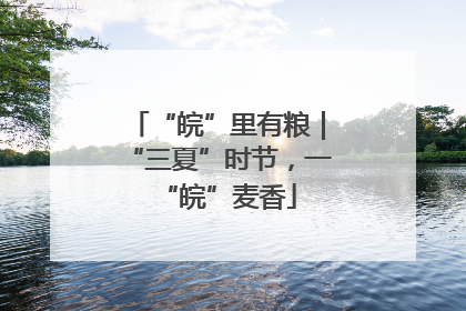 “皖”里有粮｜“三夏”时节，一“皖”麦香