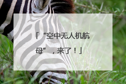 “空中无人机航母”，来了！
