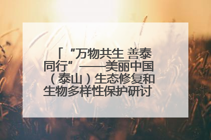 “万物共生 善泰同行”——美丽中国（泰山）生态修复和生物多样性保护研讨会成功举办