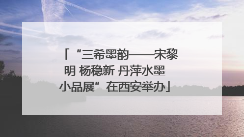 “三希墨韵——宋黎明 杨稳新 丹萍水墨小品展”在西安举办