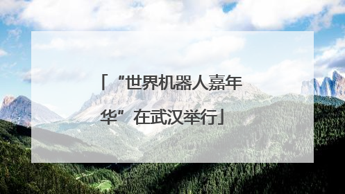 “世界机器人嘉年华”在武汉举行