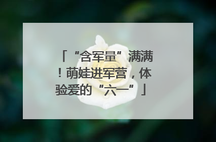 “含军量”满满！萌娃进军营，体验爱的“六一”