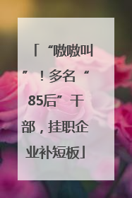“嗷嗷叫”！多名“85后”干部，挂职企业补短板