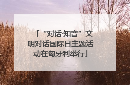 “对话·知音”文明对话国际日主题活动在匈牙利举行