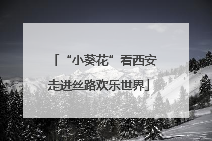 “小葵花”看西安走进丝路欢乐世界