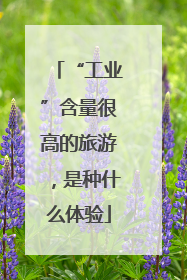 “工业”含量很高的旅游，是种什么体验