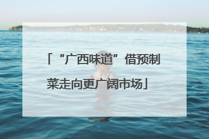 “广西味道”借预制菜走向更广阔市场