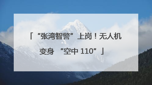 “张湾智警”上岗！无人机变身 “空中 110”
