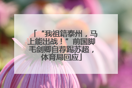 “我祖籍泰州，马上能出战！”前国脚毛剑卿自荐踢苏超，体育局回应