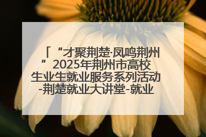 “才聚荆楚·凤鸣荆州”2025年荆州市高校生业生就业服务系列活动-荆楚就业大讲堂-就业嘉年华活动举行
