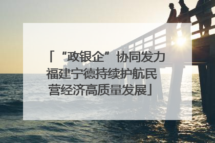 “政银企”协同发力 福建宁德持续护航民营经济高质量发展