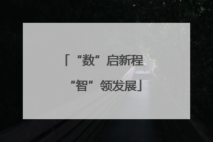 “数”启新程 “智”领发展