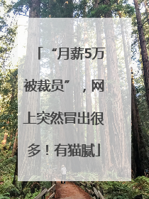 “月薪5万被裁员”，网上突然冒出很多！有猫腻