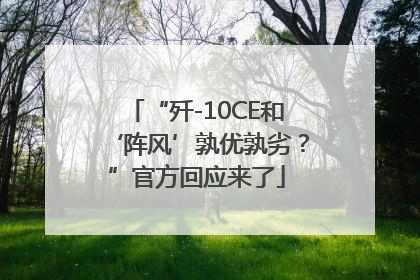 “歼-10CE和‘阵风’孰优孰劣？”官方回应来了