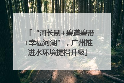 “河长制+碧道碧带+幸福河湖”，广州推进水环境提档升级