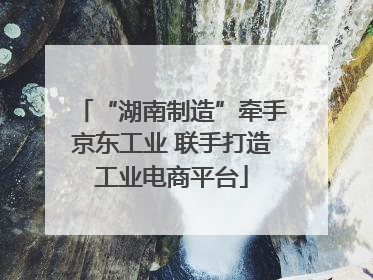 “湖南制造”牵手京东工业 联手打造工业电商平台