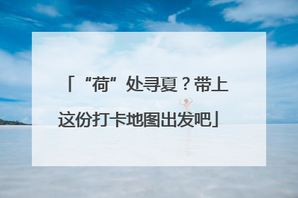 “荷”处寻夏？带上这份打卡地图出发吧