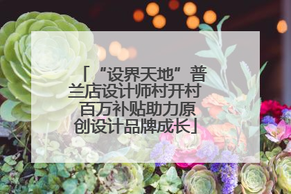 “设界天地”普兰店设计师村开村 百万补贴助力原创设计品牌成长