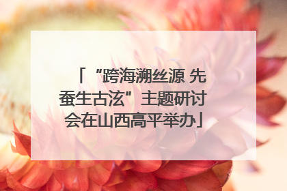 “跨海溯丝源 先蚕生古泫”主题研讨会在山西高平举办