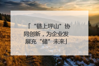 “链上坪山”协同创新，为企业发展充“储”未来