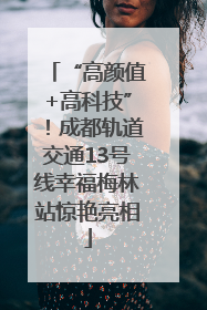 “高颜值+高科技”！成都轨道交通13号线幸福梅林站惊艳亮相