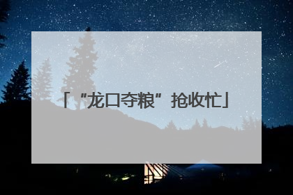 “龙口夺粮”抢收忙