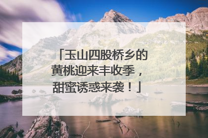 玉山四股桥乡的黄桃迎来丰收季，甜蜜诱惑来袭！