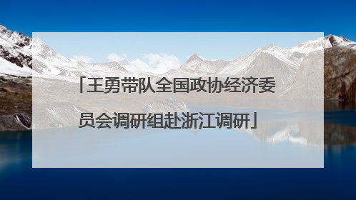王勇带队全国政协经济委员会调研组赴浙江调研