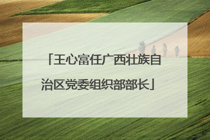 王心富任广西壮族自治区党委组织部部长