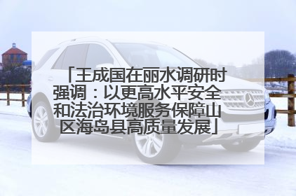 王成国在丽水调研时强调：以更高水平安全和法治环境服务保障山区海岛县高质量发展