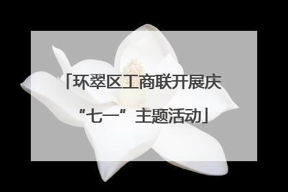环翠区工商联开展庆“七一”主题活动