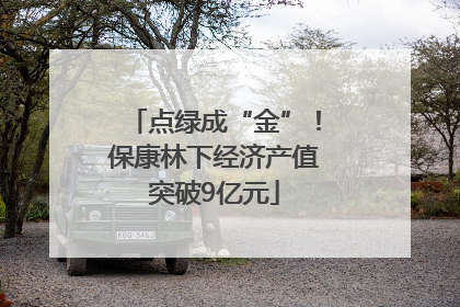 点绿成“金”！保康林下经济产值突破9亿元