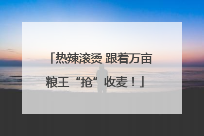 热辣滚烫 跟着万亩粮王“抢”收麦！