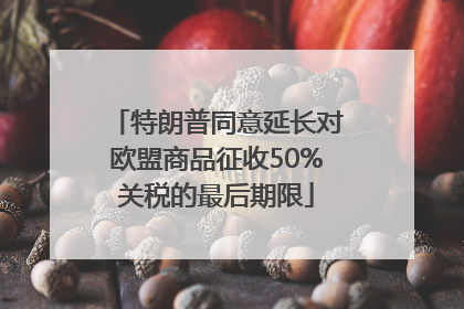特朗普同意延长对欧盟商品征收50%关税的最后期限