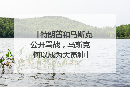 特朗普和马斯克公开骂战，马斯克何以成为大冤种