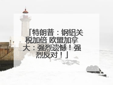 特朗普：钢铝关税加倍 欧盟加拿大：强烈遗憾！强烈反对！