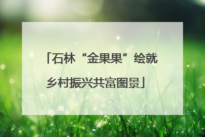 石林“金果果”绘就乡村振兴共富图景