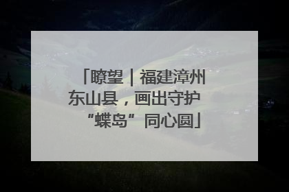 瞭望｜福建漳州东山县，画出守护“蝶岛”同心圆