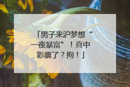 男子来沪梦想“一夜暴富”！真中彩票了？拘！