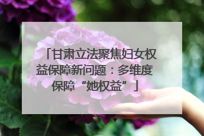 甘肃立法聚焦妇女权益保障新问题：多维度保障“她权益”
