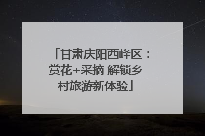 甘肃庆阳西峰区：赏花+采摘 解锁乡村旅游新体验