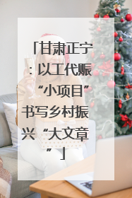 甘肃正宁：以工代赈“小项目”书写乡村振兴“大文章”